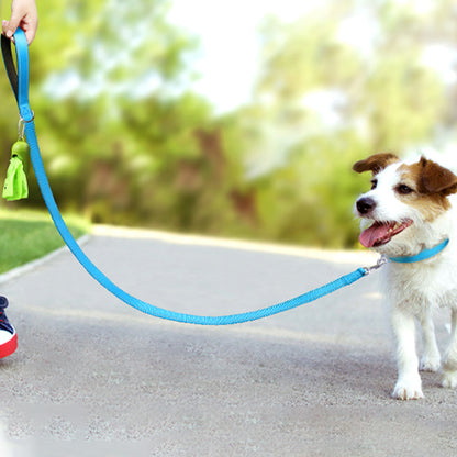 laisse-chien-couleur-tendance-bleue-canikool