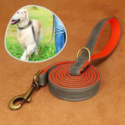 laisse-chien-cuir-grise