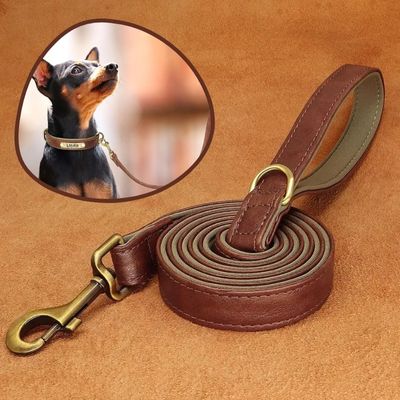 laisse-chien-cuir-marron