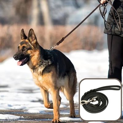 laisse-chien-cuir-noir