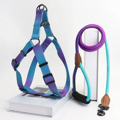 laisse-chien-ensemble-couleur-bleu-fonce-violet