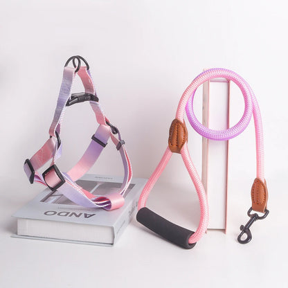 Laisse Chien | Kit Laisse et Harnais FlashDog™