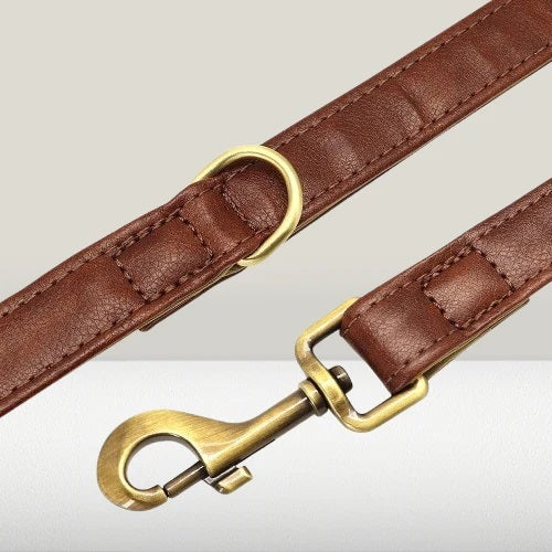 laisse-chien-mousqueton-anneau-securise-cuire-veritable-chicleash
