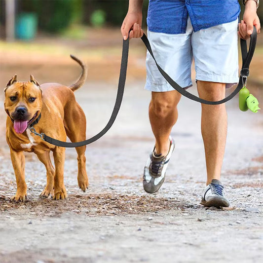 laisse-chien-noire-durabilite-exceptionnelle-longue-vie-canikool