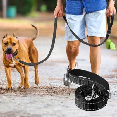 laisse-chien-noire-robuste