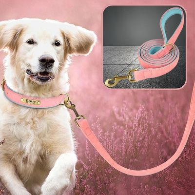 laisse-chien-rose-cuir-design