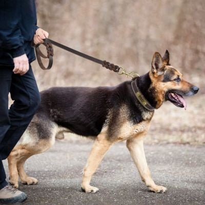 laisse-chien-tressee-cuire-veritable-Lux&Cuir