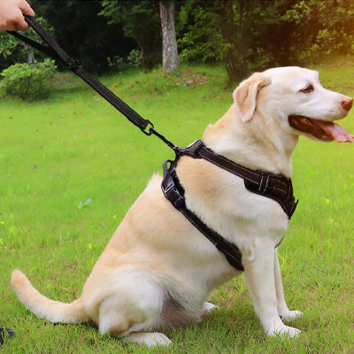 laisse-courte-pour-chien-noire-controle-securisee-controle-marche-calmoov