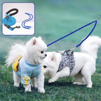 laisse-double-chien-bleue