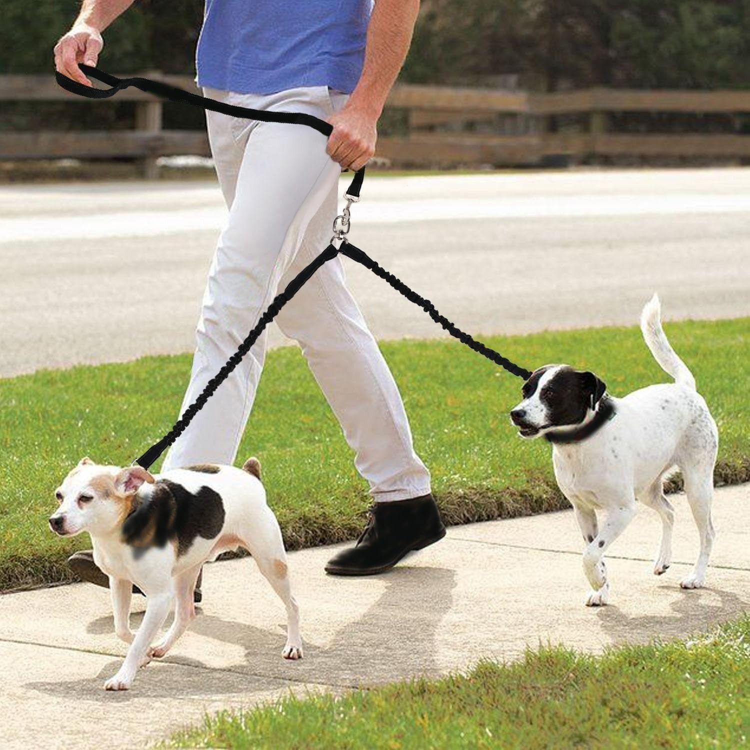 laisse-double-chien-classique-promenade-extensible-dogsrelax