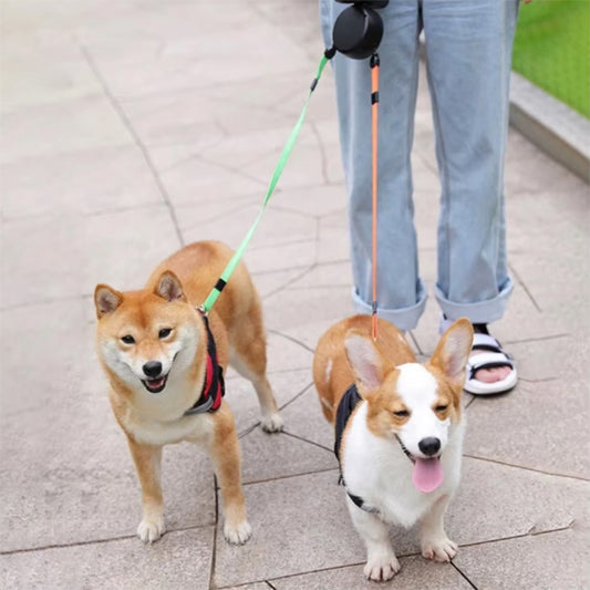 laisse-double-chien-confortable-deux-chiens-avec-lampe-integree-duoretract