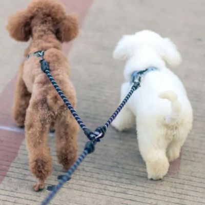 laisse-double-chien-corde