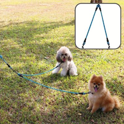 laisse-double-chien