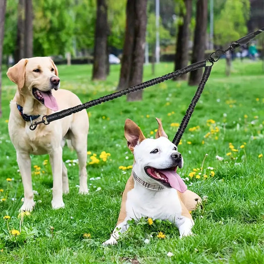 laisse-double-extensible-facile-et-pratique-dogsrelax