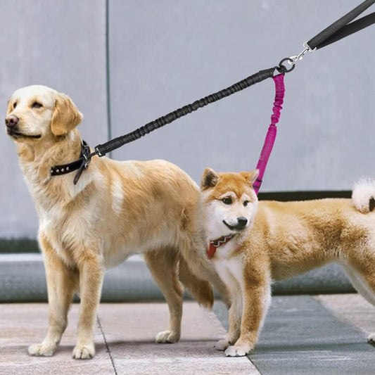 laisse-double-pour-chien-facile-rotation-et-suspension-distingo