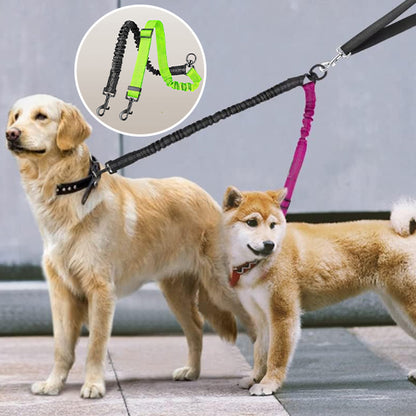 Laisse double Pour Chien | Distingo™
