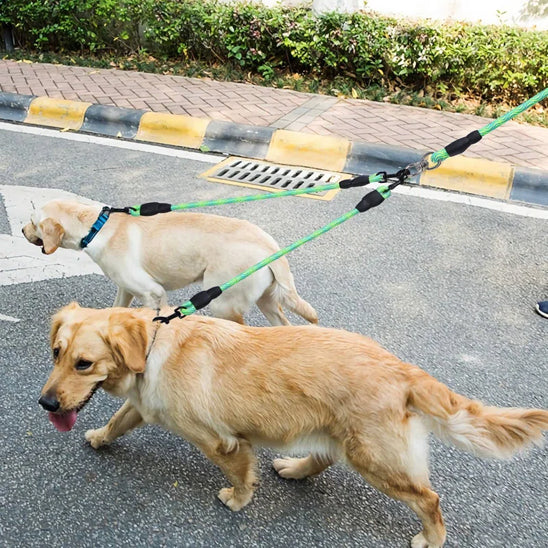 laisse-double-pour-chien-vert-robuste