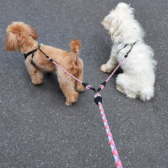 laisse-double-pour-chien-violet-robuste