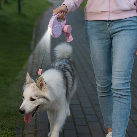 femme avec laisse enrouleur chien rose promenant sont chien