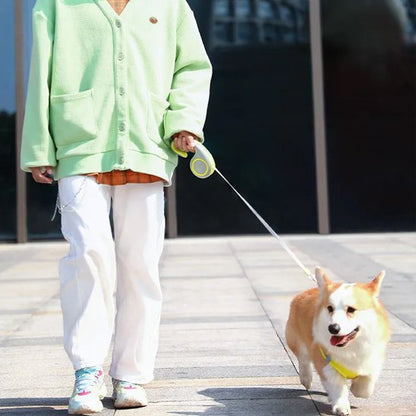 Laisse enrouleur jaune maitre et chien en balade 