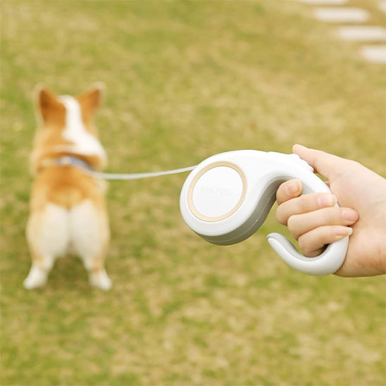 laisse enrouleur blanche design ergonomique kimpets