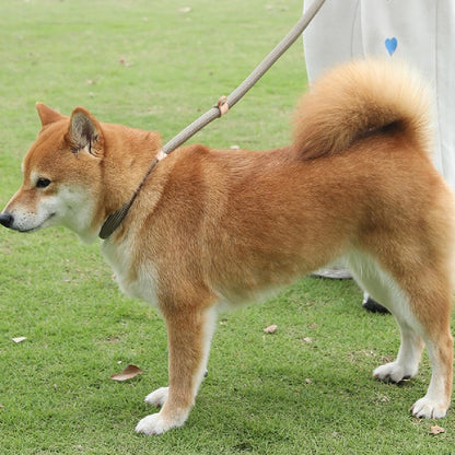 laisse-lasso-chien-akita-strongleash