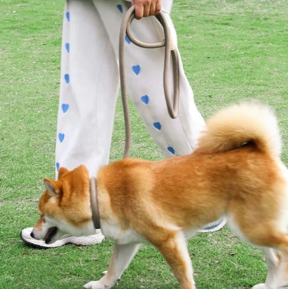 laisse-lasso-couleur-beige-moderne-polyvalente-anti-derapante-strongleash