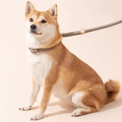 laisse-lasso-marron-clair-design-elegant-anti-derapante-strongleash