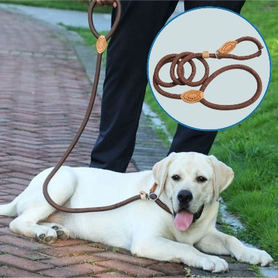 laisse-lasso-marron