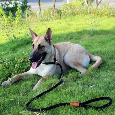 laisse-lasso-noire-robuste-corde-luckyleash