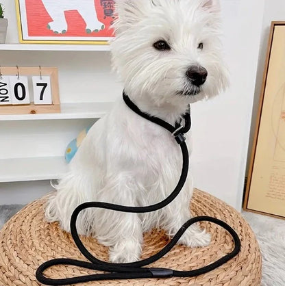 laisse-lasso-petit-chien-durabilite-corde-robuste-buckleash
