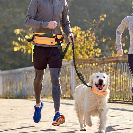 laisse-main-libre-chien-orange-excursion-naturelle-canicrosse-runleash