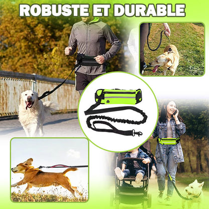 laisse-main-libre-chien-robuste-runleash