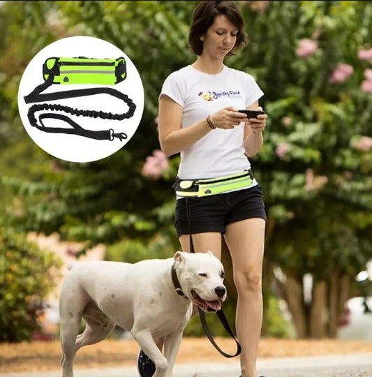 laisse-main-libre-chien-verte-runleash