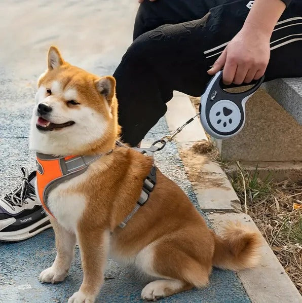laisse-pour-chien-akita-enroleur-motif-pattes-zapleash