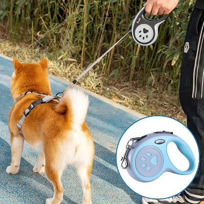 laisse-pour-chien-bleu-ciel