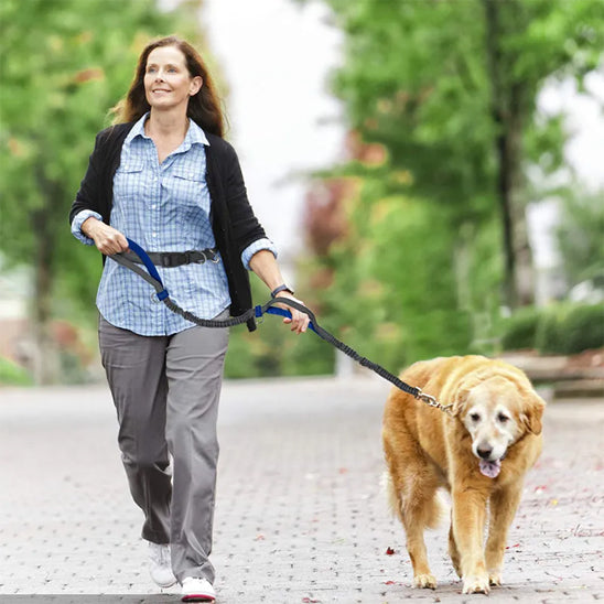 laisse-pour-chien-bleu-fonce-solide-double-poignee-controle-treckleash