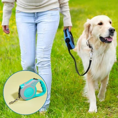 laisse-pour-chien-bleue-RestrakLeash