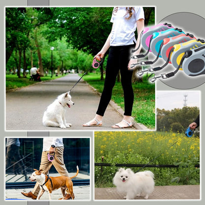laisse-pour-chien-caracteristiques