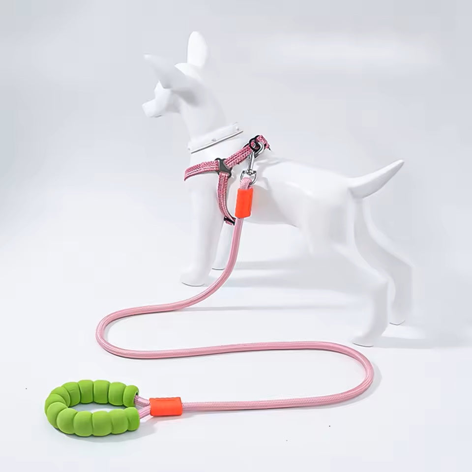 Laisse pour Chien | PoigneConfort