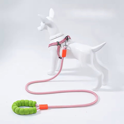 Laisse pour Chien | PoigneConfort