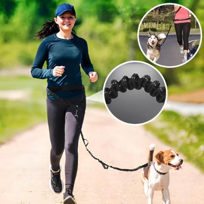 laisse-pour-chien-course-mains-libre