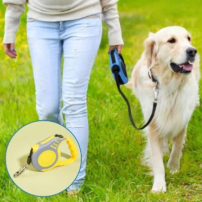 laisse-pour-chien-jaune