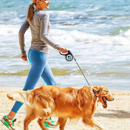 LAISSE POUR CHIEN | ZapLeash™