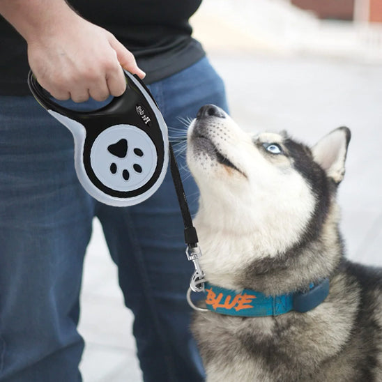 laisse-pour-chien-noire-enroleur-robuste-motif-pattes-zapleash