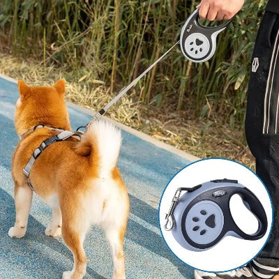 laisse-pour-chien-noire