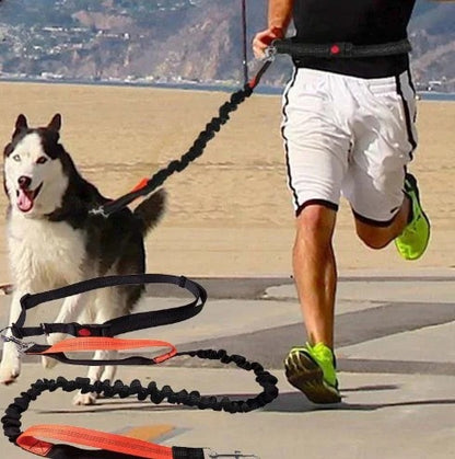 LAISSE POUR CHIEN | TreckLeash™