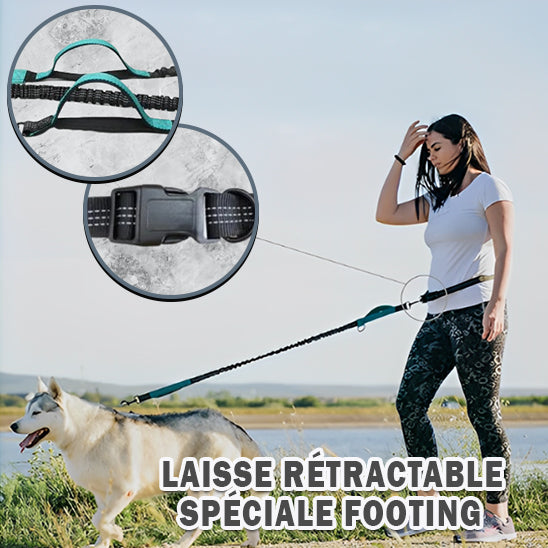 laisse-pour-chien-retractable