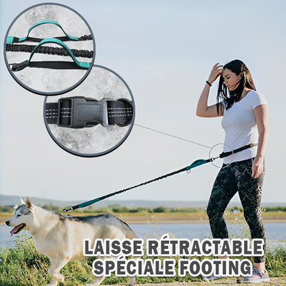 laisse-pour-chien-retractable
