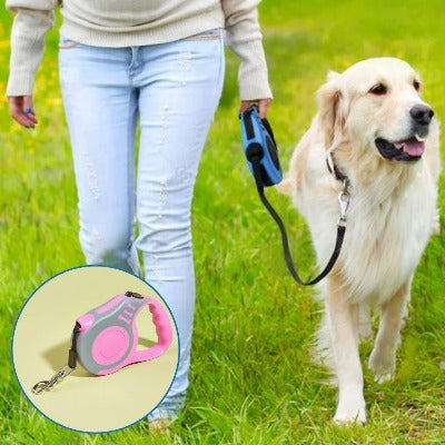 laisse-pour-chien-rose